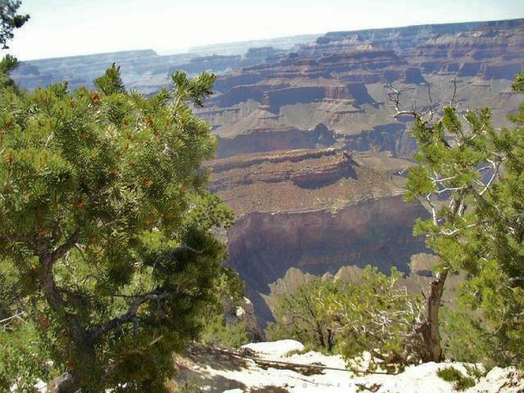 107  USA LE GRAND CANYON 2005_000016.jpg